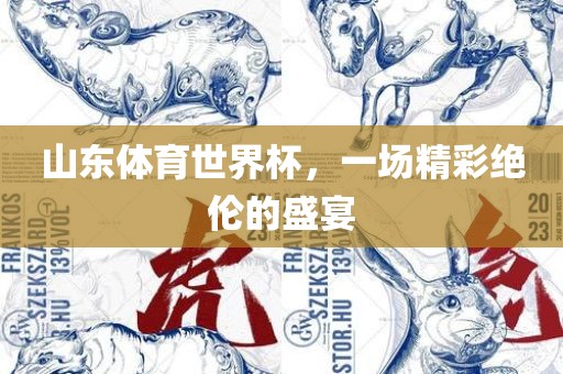 山东体育世界杯，一场精彩绝伦的盛宴漯河市盈旭机械设备有限公司