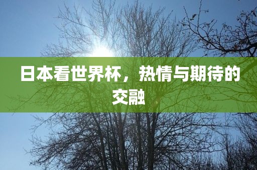 日本看世界杯，热情与期待的交融漯河市盈旭机械设备有限公司