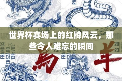 世界杯赛场上的红牌风云，那些令人难忘的瞬间漯河市盈旭机械设备有限公司
