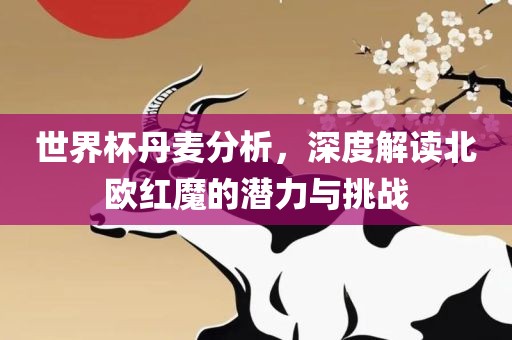 世界杯丹麦分析，深度解读北欧红魔的潜力与挑战漯河市盈旭机械设备有限公司