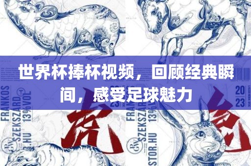 世界杯捧杯视频，回顾经典瞬间，感受足球魅力