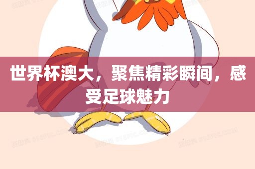 世界杯澳大，聚焦精彩瞬间，感受足球魅力漯河市盈旭机械设备有限公司