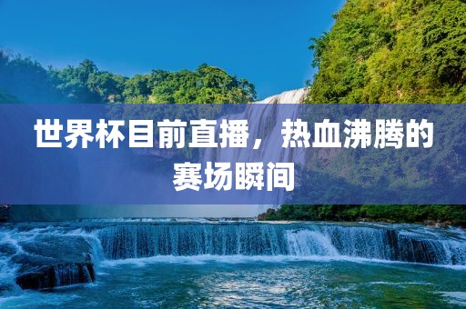 世界杯目前直播，热血沸腾的赛场瞬间