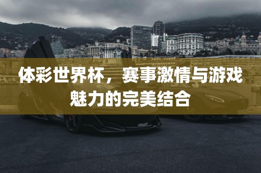 体彩世界杯漯河市盈旭机械设备有限公司，赛事激情与游戏魅力的完美结合
