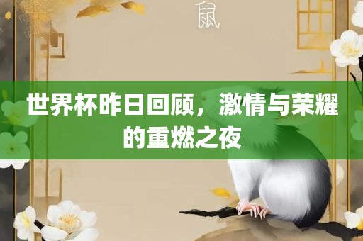 世界杯昨日回顾，激情与荣耀的重燃之夜漯河市盈旭机械设备有限公司