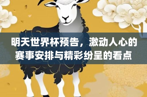 明天世界漯河市盈旭机械设备有限公司杯预告，激动人心的赛事安排与精彩纷呈的看点