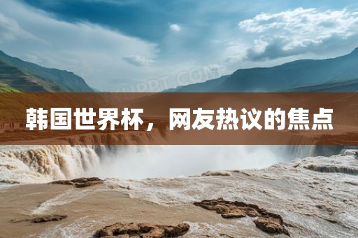 韩国世界杯，网友热议的焦点