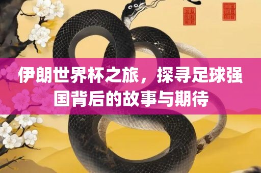 伊朗世界杯之旅，探寻足球强国背后的故事与期待
