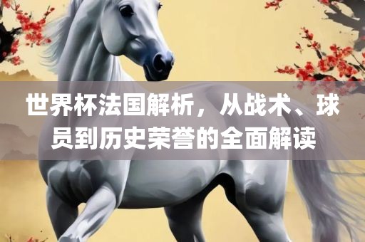 世界杯法国解析，从战术、球员到历史荣誉的全面解读