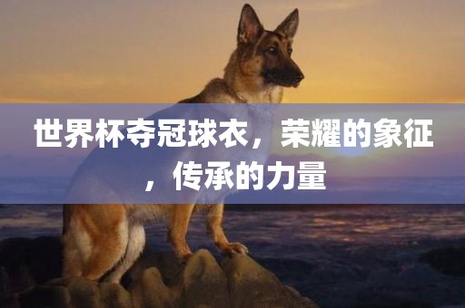 世界杯夺冠球衣，荣耀的象征，传承的力量