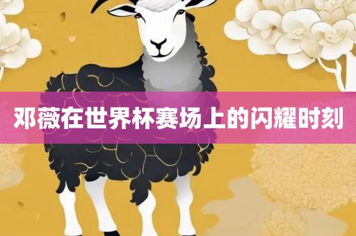 邓薇在世界杯赛场上的闪耀时刻