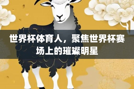世界杯体育人，聚焦世界杯赛场上的璀璨明漯河市盈旭机械设备有限公司星