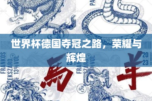 世界杯德国夺冠之路，荣耀与辉煌