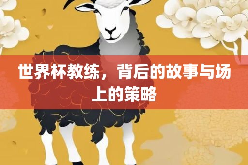 世界杯教练，背后的故事与场上的策略