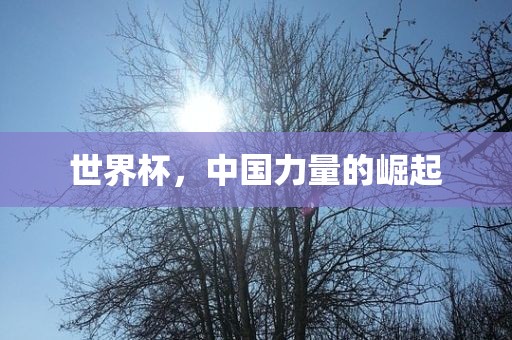 世界杯，中国力量的崛起漯河市盈旭机械设备有限公司