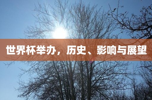 世界杯举办，历史、影响与展望