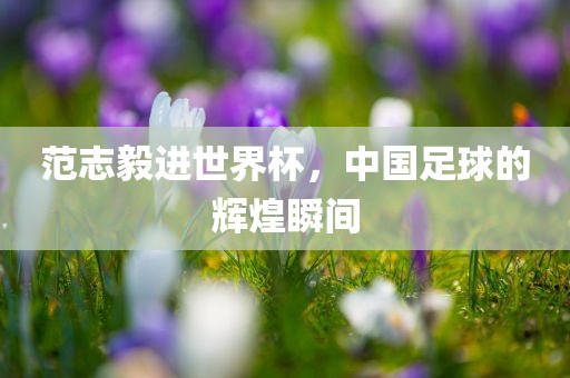 范志毅进世界杯，中国足球的辉煌瞬间漯河市盈旭机械设备有限公司