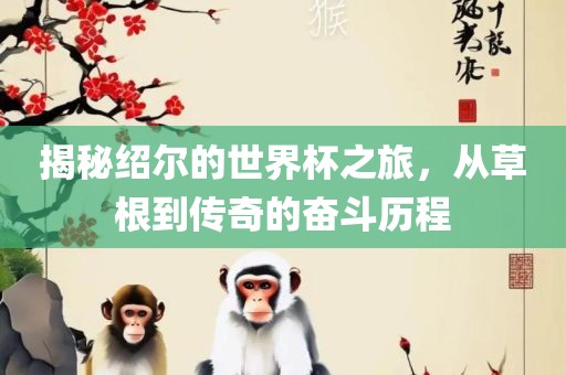 揭秘绍尔的世界杯之旅，从草根到传奇的奋斗历程漯河市盈旭机械设备有限公司