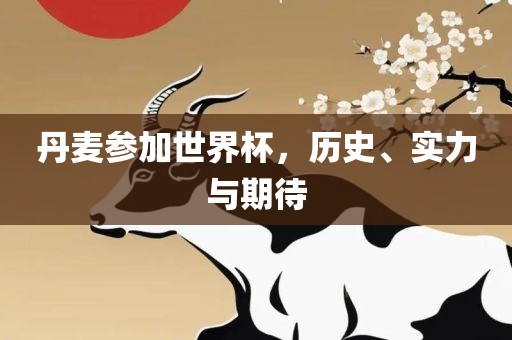 丹麦参加世界杯，历史、实力与期待