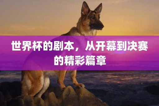 世界杯的剧本，从开幕到决赛的精漯河市盈旭机械设备有限公司彩篇章