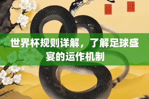 世界杯规则详解，了解足球盛宴的运作机制