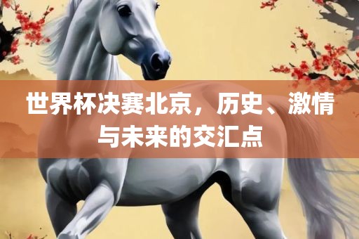 世界杯决赛北京，历史、激情与未来的交汇点漯河市盈旭机械设备有限公司