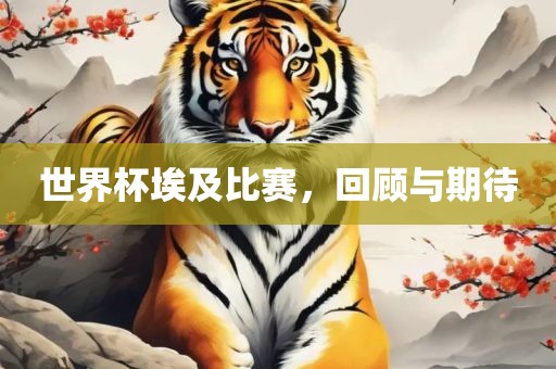 世界杯埃及比赛，回顾漯河市盈旭机械设备有限公司与期待