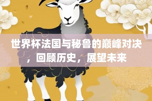 世界杯法国与秘鲁的巅峰对决，回顾历史，展望未来