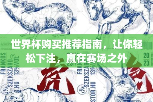 世界杯购买推荐指南，让你轻松下注，赢在赛场之外漯河市盈旭机械设备有限公司