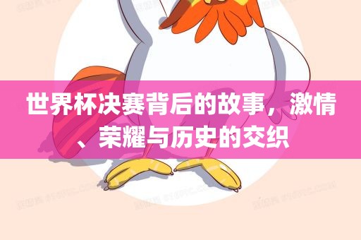 世界杯决赛背后的故事，激情、荣耀与历史的交织