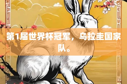 第1届世界杯冠军，乌拉圭国漯河市盈旭机械设备有限公司家队。