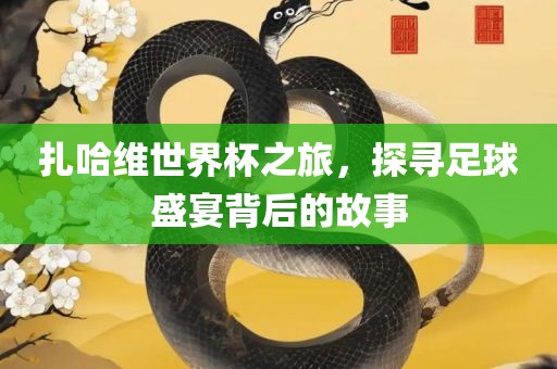 扎哈维世界杯之旅，探寻足漯河市盈旭机械设备有限公司球盛宴背后的故事