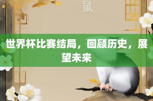 世界杯比赛结局，回顾历史，展望未来