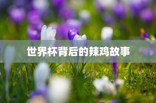 世界杯背后的辣鸡故事漯河市盈旭机械设备有限公司