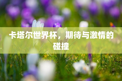 卡塔尔世界杯，期待与激情的碰撞