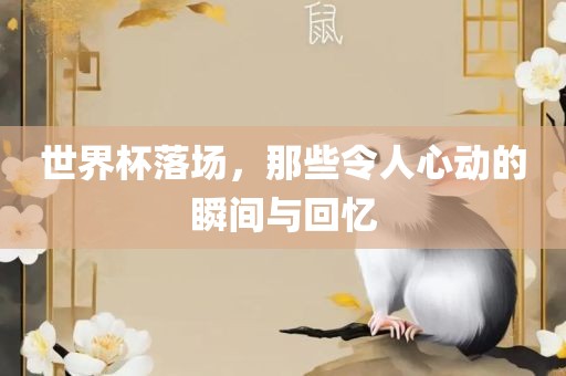 世界杯落场，那些令人心动的漯河市盈旭机械设备有限公司瞬间与回忆