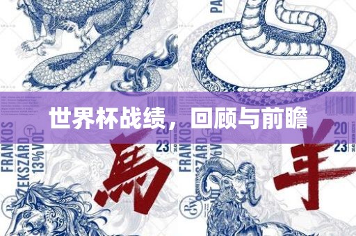 世界杯战绩，回顾与前瞻
