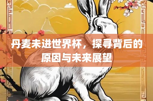 丹麦未进世界杯，探寻背后的原因与未来展望