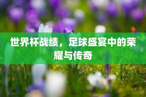 世界杯战绩，足球盛宴中的荣耀与传漯河市盈旭机械设备有限公司奇