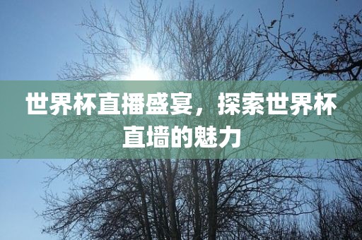 世界杯直播盛宴，探索世界杯直墙的魅力