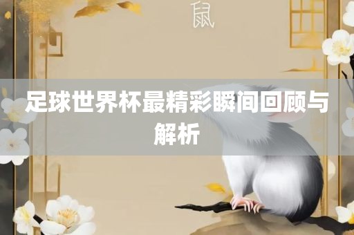 足球世界杯最精彩瞬间回顾与解析