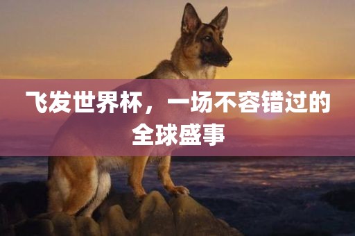 飞发世界杯，一场不容错过的全球盛事漯河市盈旭机械设备有限公司