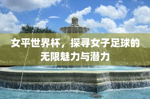 女平世界杯，探寻女子足球的无限魅力与潜力