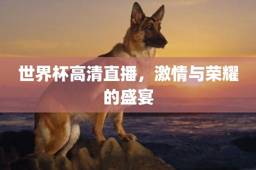 世界杯高清直播，激情与荣耀的盛宴