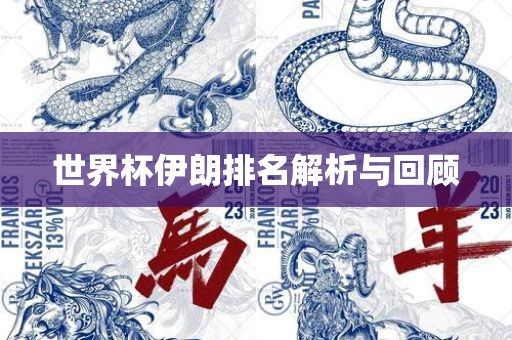 世界杯伊朗排名解析与回顾漯河市盈旭机械设备有限公司