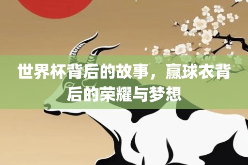 世界杯背后的故事，赢球衣背后的荣耀与梦想漯河市盈旭机械设备有限公司
