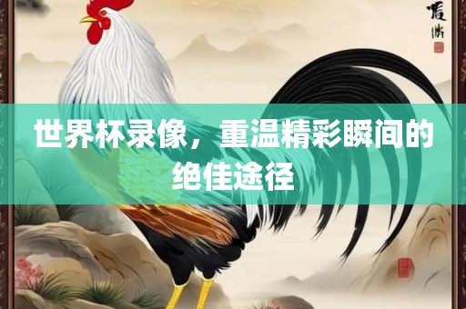 世界杯录像，重温精彩瞬间的绝佳途径