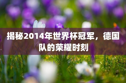 揭秘2014年世界杯冠军，德国队的荣耀时刻漯河市盈旭机械设备有限公司