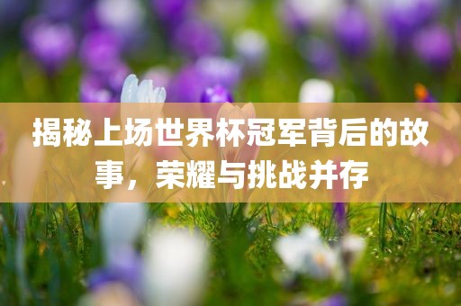 揭秘上场世界杯冠军背后的故事，荣耀与挑战并存漯河市盈旭机械设备有限公司