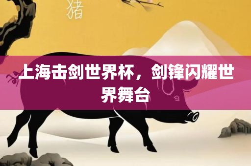 上海击剑世界杯，剑锋闪耀世界舞台